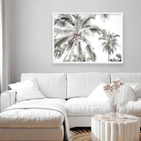 Shop Coconut Palms Photo Art Print a photography wall art print from The Print Emporium wall artwork collection - Buy Australian made fine art poster and framed prints for the home and your interior decor room, TPE-738-AP