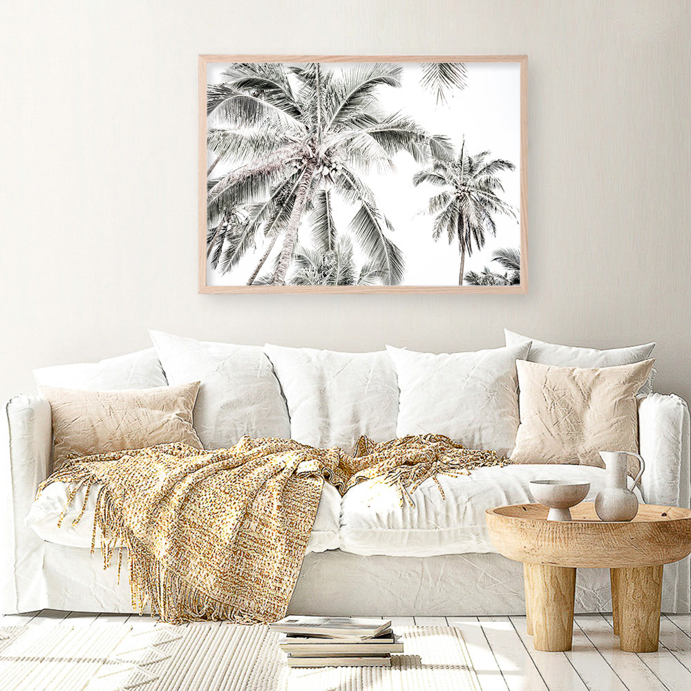 Shop Coconut Palms Photo Art Print a photography wall art print from The Print Emporium wall artwork collection - Buy Australian made fine art poster and framed prints for the home and your interior decor room, TPE-738-AP