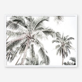 Shop Coconut Palms Photo Art Print a photography wall art print from The Print Emporium wall artwork collection - Buy Australian made fine art poster and framed prints for the home and your interior decor room, TPE-738-AP