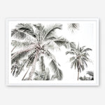 Shop Coconut Palms Photo Art Print a photography wall art print from The Print Emporium wall artwork collection - Buy Australian made fine art poster and framed prints for the home and your interior decor room, TPE-738-AP