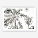 Shop Coconut Palms Photo Art Print a photography wall art print from The Print Emporium wall artwork collection - Buy Australian made fine art poster and framed prints for the home and your interior decor room, TPE-738-AP
