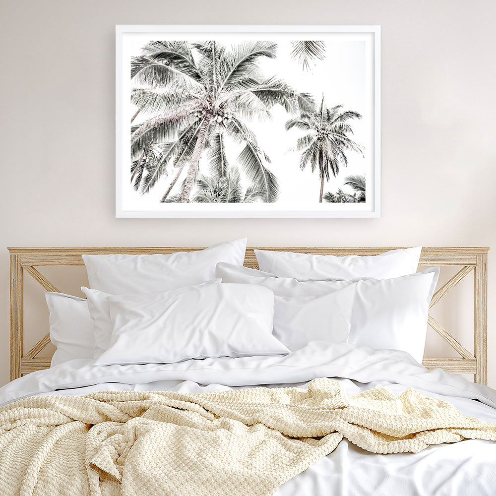 Shop Coconut Palms Photo Art Print a photography wall art print from The Print Emporium wall artwork collection - Buy Australian made fine art poster and framed prints for the home and your interior decor room, TPE-738-AP