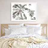 Shop Coconut Palms Photo Art Print a photography wall art print from The Print Emporium wall artwork collection - Buy Australian made fine art poster and framed prints for the home and your interior decor room, TPE-738-AP