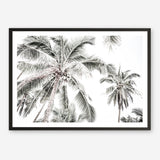 Shop Coconut Palms Photo Art Print a photography wall art print from The Print Emporium wall artwork collection - Buy Australian made fine art poster and framed prints for the home and your interior decor room, TPE-738-AP