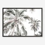 Shop Coconut Palms Photo Art Print a photography wall art print from The Print Emporium wall artwork collection - Buy Australian made fine art poster and framed prints for the home and your interior decor room, TPE-738-AP