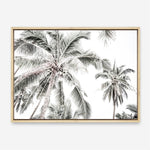Shop Coconut Palms Photo Canvas Print a photography framed stretched canvas print from The Print Emporium wall artwork collection - Buy Australian made prints for the home and your interior decor space, TPE-738-CA-35X46-NF