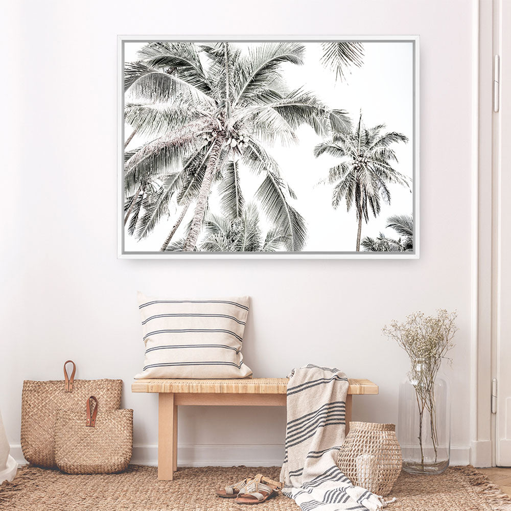 Shop Coconut Palms Photo Canvas Print a photography framed stretched canvas print from The Print Emporium wall artwork collection - Buy Australian made prints for the home and your interior decor space, TPE-738-CA-35X46-NF