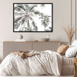 Shop Coconut Palms Photo Canvas Print a photography framed stretched canvas print from The Print Emporium wall artwork collection - Buy Australian made prints for the home and your interior decor space, TPE-738-CA-35X46-NF