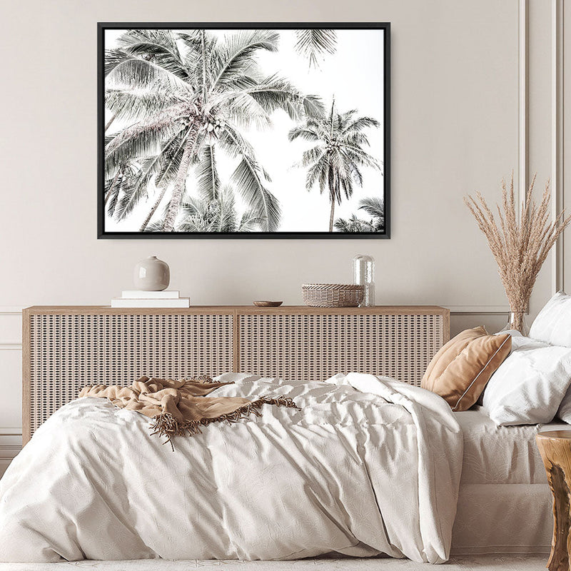 Shop Coconut Palms Photo Canvas Print a photography framed stretched canvas print from The Print Emporium wall artwork collection - Buy Australian made prints for the home and your interior decor space, TPE-738-CA-35X46-NF