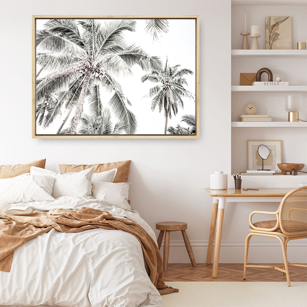 Shop Coconut Palms Photo Canvas Print a photography framed stretched canvas print from The Print Emporium wall artwork collection - Buy Australian made prints for the home and your interior decor space, TPE-738-CA-35X46-NF