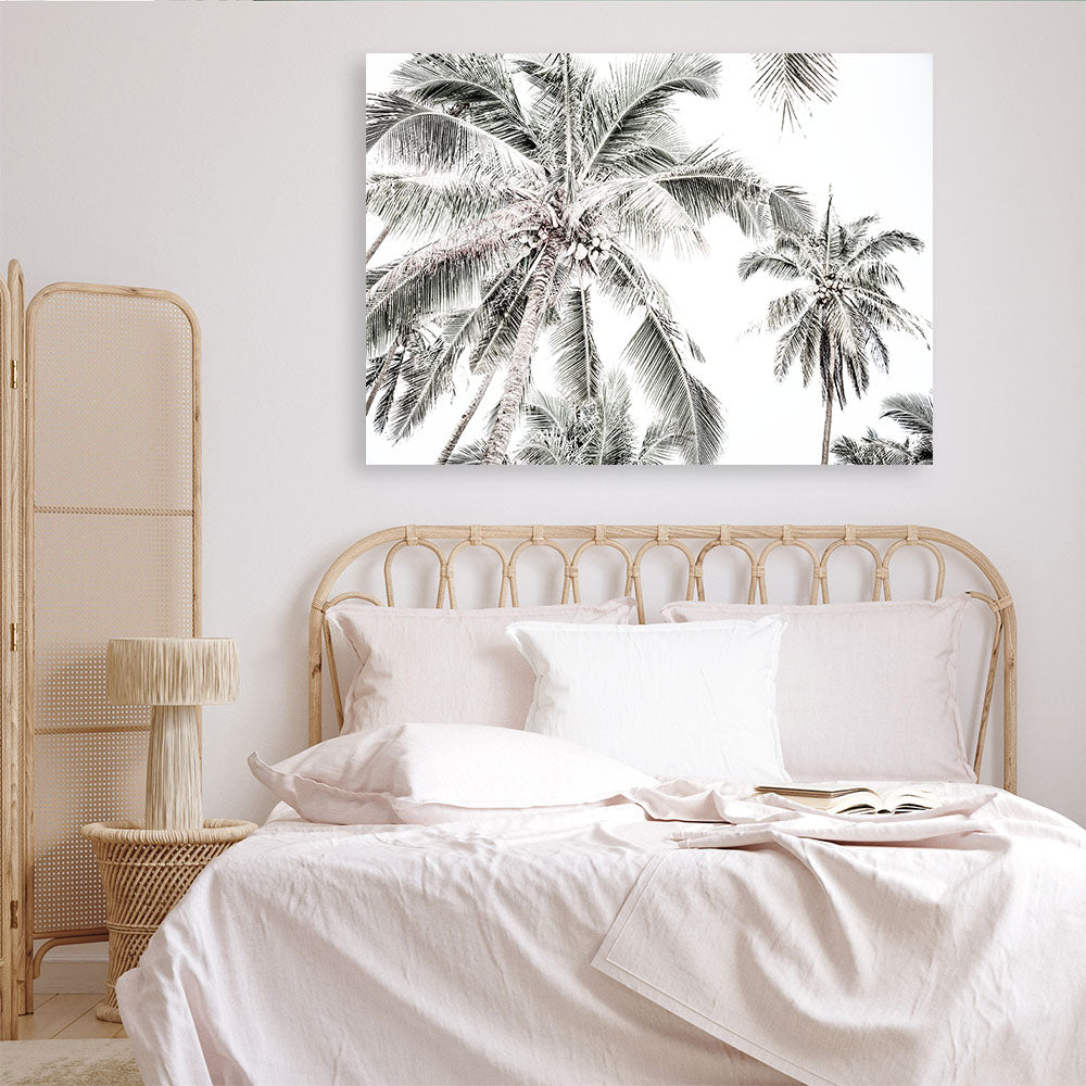 Shop Coconut Palms Photo Canvas Print a photography framed stretched canvas print from The Print Emporium wall artwork collection - Buy Australian made prints for the home and your interior decor space, TPE-738-CA-35X46-NF