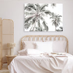 Shop Coconut Palms Photo Canvas Print a photography framed stretched canvas print from The Print Emporium wall artwork collection - Buy Australian made prints for the home and your interior decor space, TPE-738-CA-35X46-NF