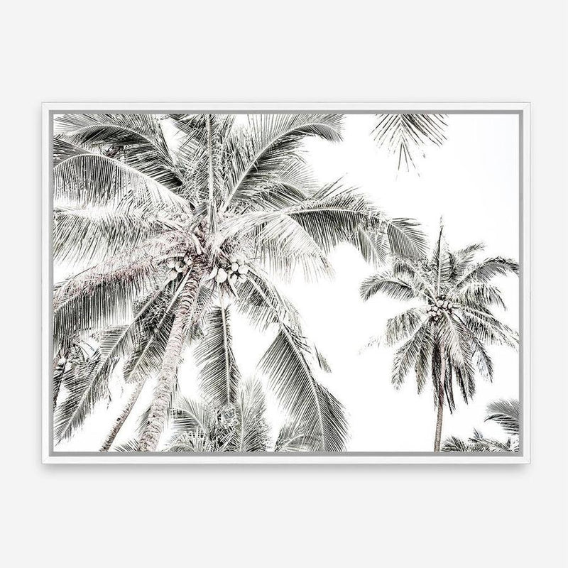Shop Coconut Palms Photo Canvas Print a photography framed stretched canvas print from The Print Emporium wall artwork collection - Buy Australian made prints for the home and your interior decor space, TPE-738-CA-35X46-NF