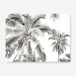 Shop Coconut Palms Photo Canvas Print a photography framed stretched canvas print from The Print Emporium wall artwork collection - Buy Australian made prints for the home and your interior decor space, TPE-738-CA-35X46-NF
