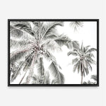 Shop Coconut Palms Photo Canvas Print a photography framed stretched canvas print from The Print Emporium wall artwork collection - Buy Australian made prints for the home and your interior decor space, TPE-738-CA-35X46-NF
