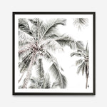 Shop Coconut Palms (Square) Photo Art Print a coastal themed photography wall art print from The Print Emporium wall artwork collection - Buy Australian made fine art poster and framed prints for the home and your interior decor, TPE-1017-AP