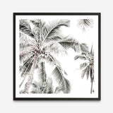 Shop Coconut Palms (Square) Photo Art Print a coastal themed photography wall art print from The Print Emporium wall artwork collection - Buy Australian made fine art poster and framed prints for the home and your interior decor, TPE-1017-AP