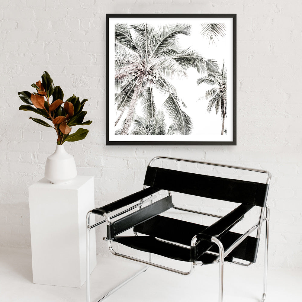 Shop Coconut Palms (Square) Photo Art Print a coastal themed photography wall art print from The Print Emporium wall artwork collection - Buy Australian made fine art poster and framed prints for the home and your interior decor, TPE-1017-AP