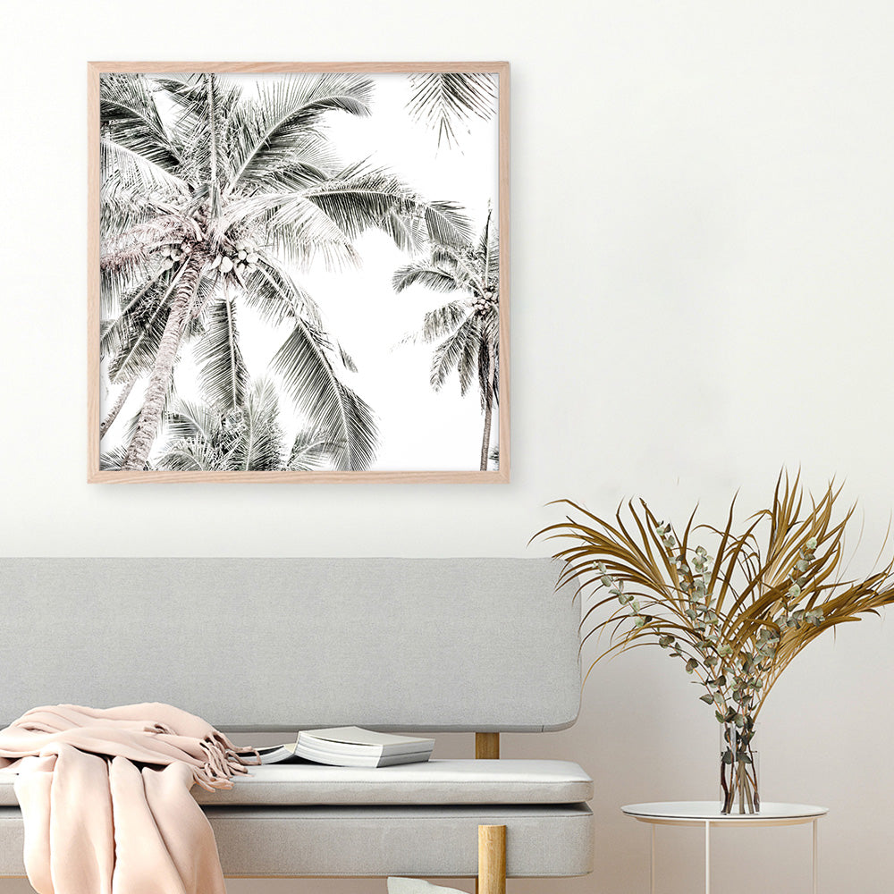 Shop Coconut Palms (Square) Photo Art Print a coastal themed photography wall art print from The Print Emporium wall artwork collection - Buy Australian made fine art poster and framed prints for the home and your interior decor, TPE-1017-AP
