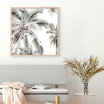 Shop Coconut Palms (Square) Photo Art Print a coastal themed photography wall art print from The Print Emporium wall artwork collection - Buy Australian made fine art poster and framed prints for the home and your interior decor, TPE-1017-AP