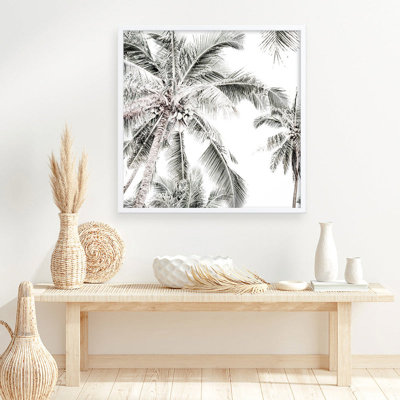 Shop Coconut Palms (Square) Photo Art Print a coastal themed photography wall art print from The Print Emporium wall artwork collection - Buy Australian made fine art poster and framed prints for the home and your interior decor, TPE-1017-AP