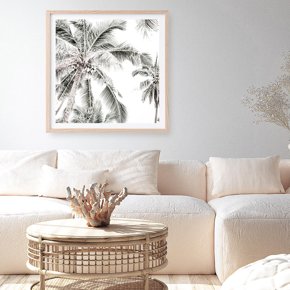 Shop Coconut Palms (Square) Photo Art Print a coastal themed photography wall art print from The Print Emporium wall artwork collection - Buy Australian made fine art poster and framed prints for the home and your interior decor, TPE-1017-AP