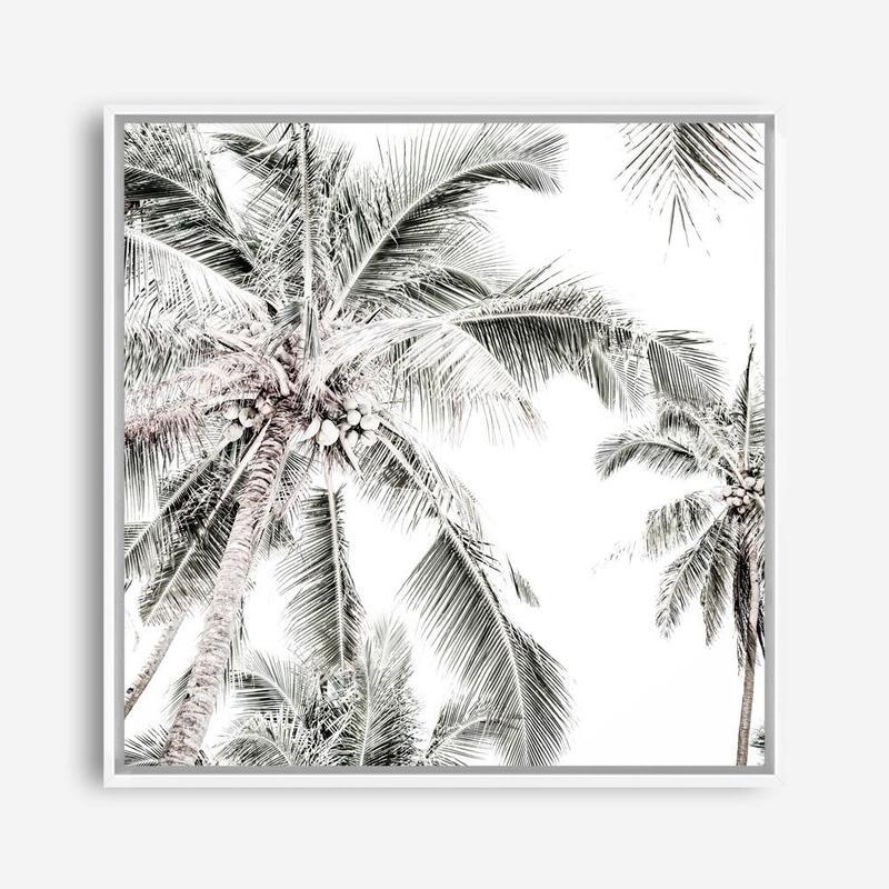 Shop Coconut Palms (Square) Photo Canvas a coastal themed photography framed stretched canvas print from The Print Emporium wall artwork collection - Buy Australian made prints for the home and your interior decor space, TPE-1017-CA-40X40-NF