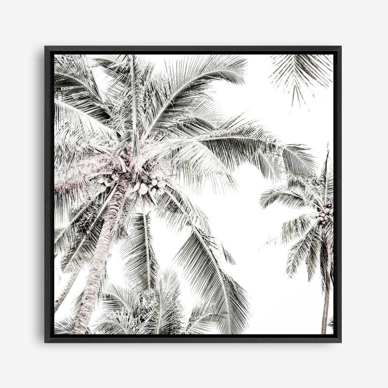 Shop Coconut Palms (Square) Photo Canvas a coastal themed photography framed stretched canvas print from The Print Emporium wall artwork collection - Buy Australian made prints for the home and your interior decor space, TPE-1017-CA-40X40-NF
