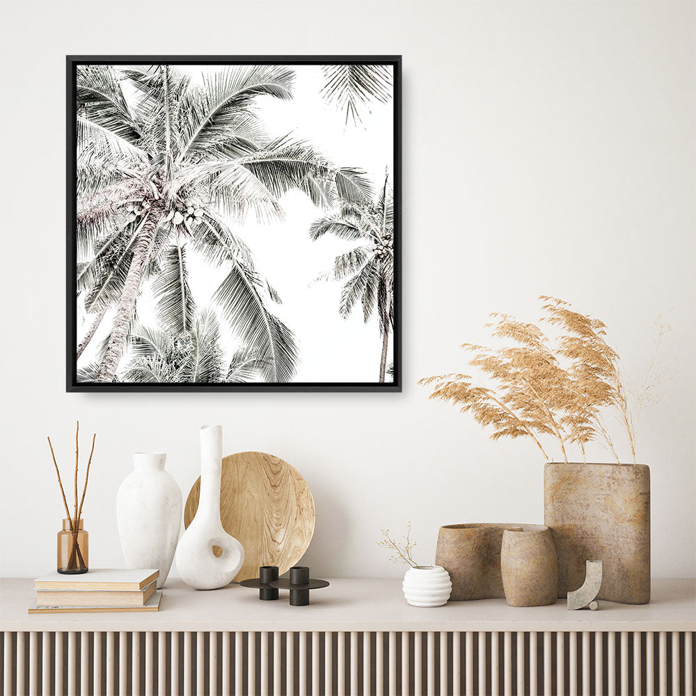 Shop Coconut Palms (Square) Photo Canvas a coastal themed photography framed stretched canvas print from The Print Emporium wall artwork collection - Buy Australian made prints for the home and your interior decor space, TPE-1017-CA-40X40-NF