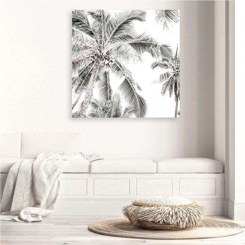 Shop Coconut Palms (Square) Photo Canvas a coastal themed photography framed stretched canvas print from The Print Emporium wall artwork collection - Buy Australian made prints for the home and your interior decor space, TPE-1017-CA-40X40-NF