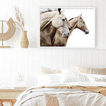 Shop Cream Horses Photo Art Print a photography wall art print from The Print Emporium wall artwork collection - Buy Australian made fine art poster and framed prints for the home and your interior decor room, TPE-116-AP