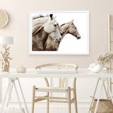 Shop Cream Horses Photo Art Print a photography wall art print from The Print Emporium wall artwork collection - Buy Australian made fine art poster and framed prints for the home and your interior decor room, TPE-116-AP