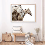 Shop Cream Horses Photo Art Print a photography wall art print from The Print Emporium wall artwork collection - Buy Australian made fine art poster and framed prints for the home and your interior decor room, TPE-116-AP