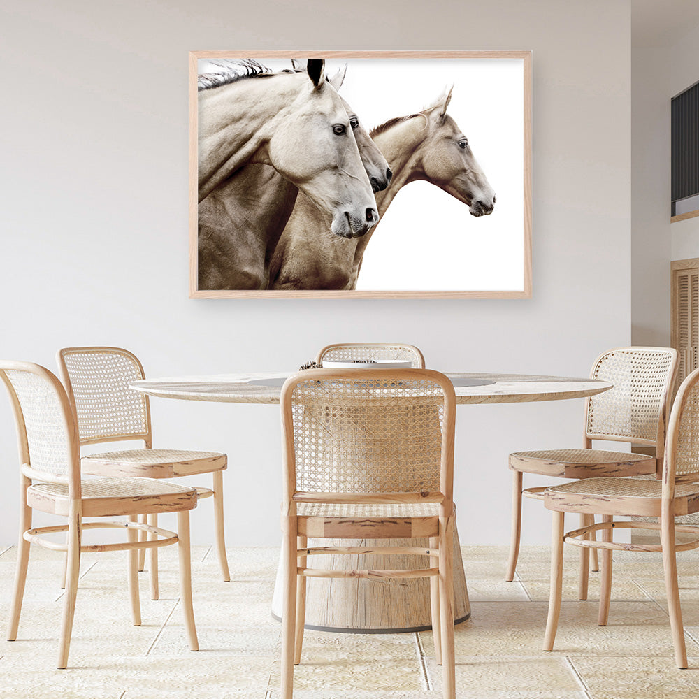 Shop Cream Horses Photo Art Print a photography wall art print from The Print Emporium wall artwork collection - Buy Australian made fine art poster and framed prints for the home and your interior decor room, TPE-116-AP