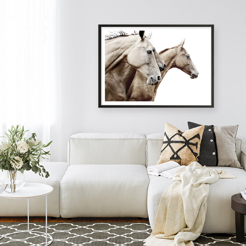 Shop Cream Horses Photo Art Print a photography wall art print from The Print Emporium wall artwork collection - Buy Australian made fine art poster and framed prints for the home and your interior decor room, TPE-116-AP