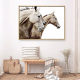 Shop Cream Horses Photo Canvas Print a photography framed stretched canvas print from The Print Emporium wall artwork collection - Buy Australian made prints for the home and your interior decor space, TPE-116-CA-35X46-NF