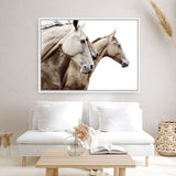 Shop Cream Horses Photo Canvas Print a photography framed stretched canvas print from The Print Emporium wall artwork collection - Buy Australian made prints for the home and your interior decor space, TPE-116-CA-35X46-NF
