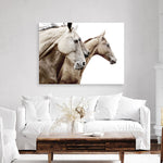 Shop Cream Horses Photo Canvas Print a photography framed stretched canvas print from The Print Emporium wall artwork collection - Buy Australian made prints for the home and your interior decor space, TPE-116-CA-35X46-NF
