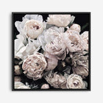 Shop Dark Blooms II (Square) Canvas Print a floral themed painted framed canvas wall art print from The Print Emporium artwork collection - Buy Australian made fine art painting style stretched canvas prints for the home and your interior decor space, TPE-363-CA-40X40-NF