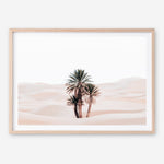 Shop Desert Palms I Photo Art Print a Moroccan desert boho themed photography wall art print from The Print Emporium wall artwork collection - Buy Australian made fine art poster and framed prints for the home and your interior decor room, TPE-1293-AP