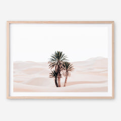 Shop Desert Palms I Photo Art Print a Moroccan desert boho themed photography wall art print from The Print Emporium wall artwork collection - Buy Australian made fine art poster and framed prints for the home and your interior decor room, TPE-1293-AP