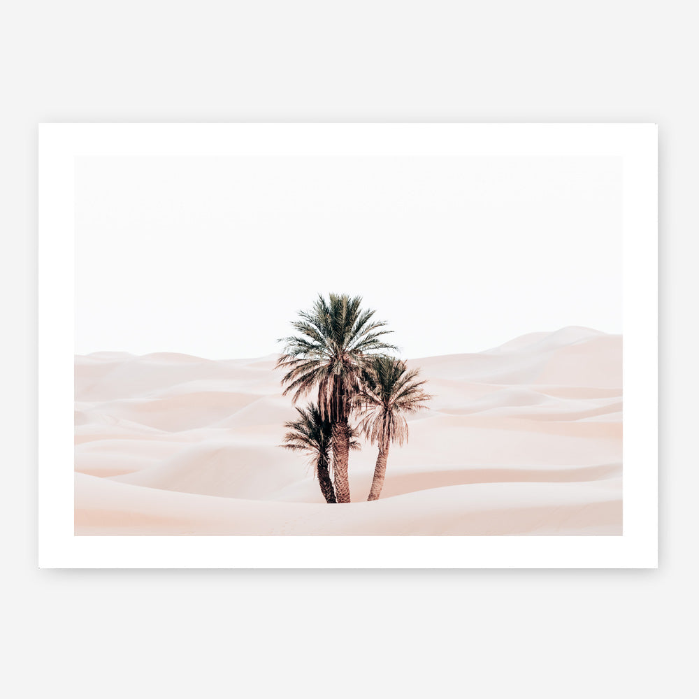 Shop Desert Palms I Photo Art Print a Moroccan desert boho themed photography wall art print from The Print Emporium wall artwork collection - Buy Australian made fine art poster and framed prints for the home and your interior decor room, TPE-1293-AP