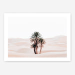Shop Desert Palms I Photo Art Print a Moroccan desert boho themed photography wall art print from The Print Emporium wall artwork collection - Buy Australian made fine art poster and framed prints for the home and your interior decor room, TPE-1293-AP