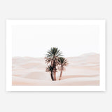 Shop Desert Palms I Photo Art Print a Moroccan desert boho themed photography wall art print from The Print Emporium wall artwork collection - Buy Australian made fine art poster and framed prints for the home and your interior decor room, TPE-1293-AP