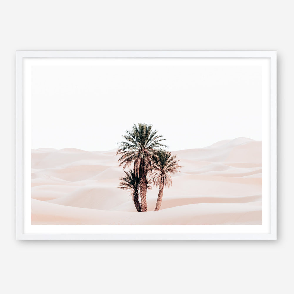 Shop Desert Palms I Photo Art Print a Moroccan desert boho themed photography wall art print from The Print Emporium wall artwork collection - Buy Australian made fine art poster and framed prints for the home and your interior decor room, TPE-1293-AP