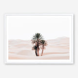 Shop Desert Palms I Photo Art Print a Moroccan desert boho themed photography wall art print from The Print Emporium wall artwork collection - Buy Australian made fine art poster and framed prints for the home and your interior decor room, TPE-1293-AP