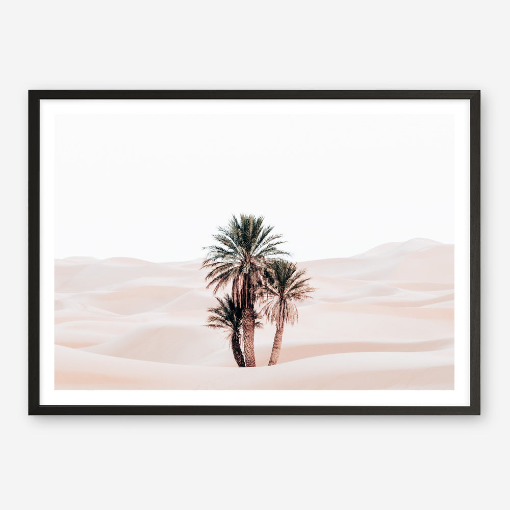 Shop Desert Palms I Photo Art Print a Moroccan desert boho themed photography wall art print from The Print Emporium wall artwork collection - Buy Australian made fine art poster and framed prints for the home and your interior decor room, TPE-1293-AP