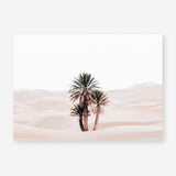 Shop Desert Palms I Photo Art Print a Moroccan desert boho themed photography wall art print from The Print Emporium wall artwork collection - Buy Australian made fine art poster and framed prints for the home and your interior decor room, TPE-1293-AP