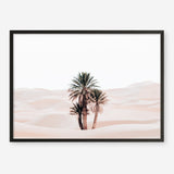 Shop Desert Palms I Photo Art Print a Moroccan desert boho themed photography wall art print from The Print Emporium wall artwork collection - Buy Australian made fine art poster and framed prints for the home and your interior decor room, TPE-1293-AP
