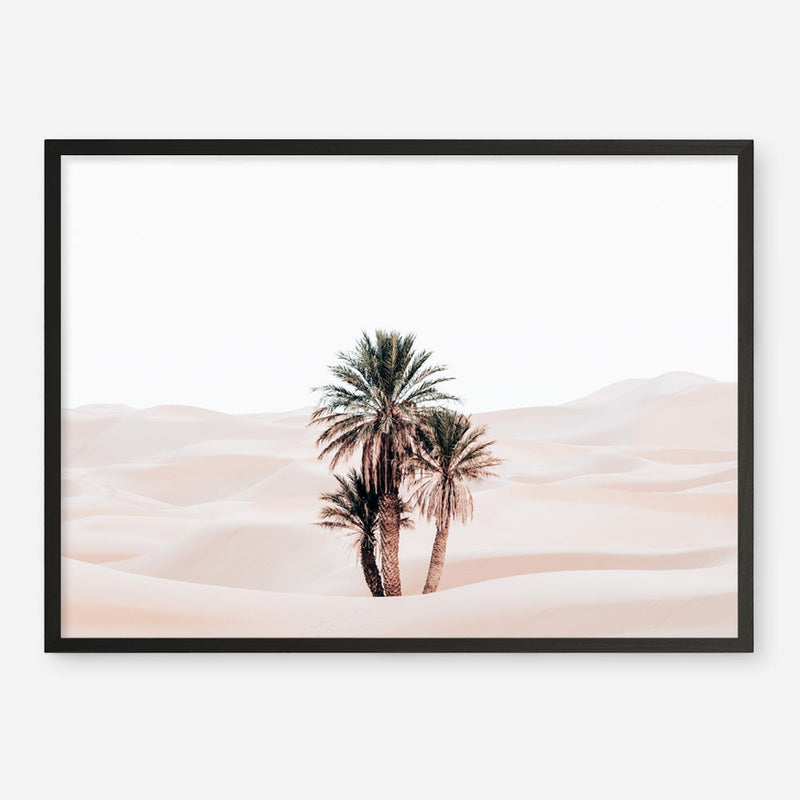 Shop Desert Palms I Photo Art Print a Moroccan desert boho themed photography wall art print from The Print Emporium wall artwork collection - Buy Australian made fine art poster and framed prints for the home and your interior decor room, TPE-1293-AP